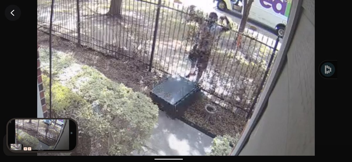 mikinho's tweet photo. @dellbusiness @Dell This is how @FedEx treats your deliveries. Please provide other options. This isn't the first time even though we were home, have clear delivery instructions and signature required. https://t.co/UpiGUBsiph