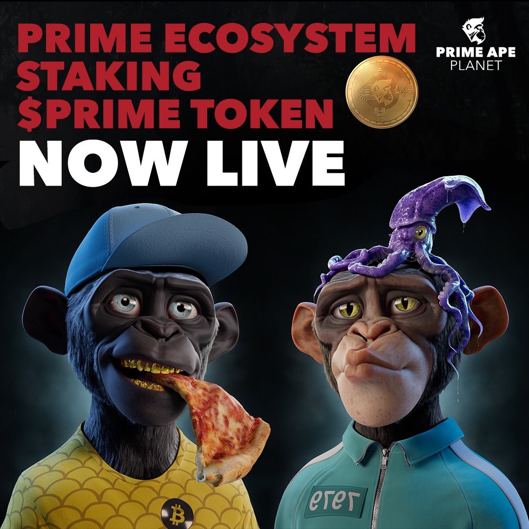 Y13Sly's tweet photo. @coolcatsnft @PrimeApePlanet @KongPlanet #prinersids https://t.co/o1mUjYj8rb