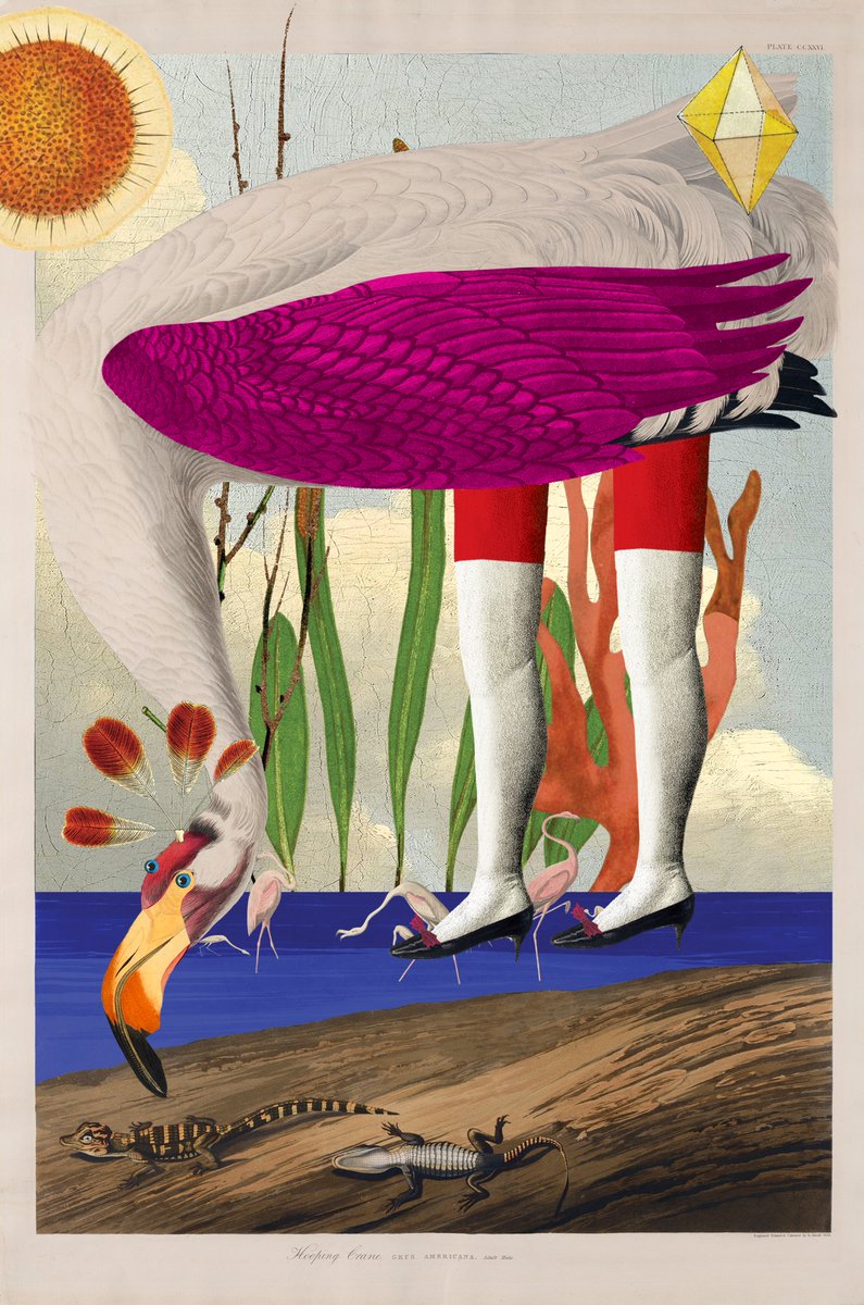 The Birds of Sōlis collection by <a href="/VarvaraAlay/">Varvara Alay</a> is LIVE &amp; available to mint NOW on #Solana... exclusively on @SnowcrashNFT 🦩✨

✨ 4 SOL/per mint 
🔟 Mint up to 10
🦜 Mint: snowcrash.com/exclusive
🦩 Learn more: birdsofsolis.com
🔁 RT to spread the word!

#NFTCommunity