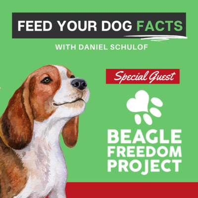 beaglefreedom's tweet photo. We’re excited to share our interview on the Feed Your Dog Facts podcast w/ cruelty-free brand @KetonaturalPetFoods! Education is essential, so we're excited to discuss everything from how BFP got started 2 the ugly truth about dog food testing. 
Listen 👉 https://t.co/DBWpEC6yuB https://t.co/HojsxIrBCm