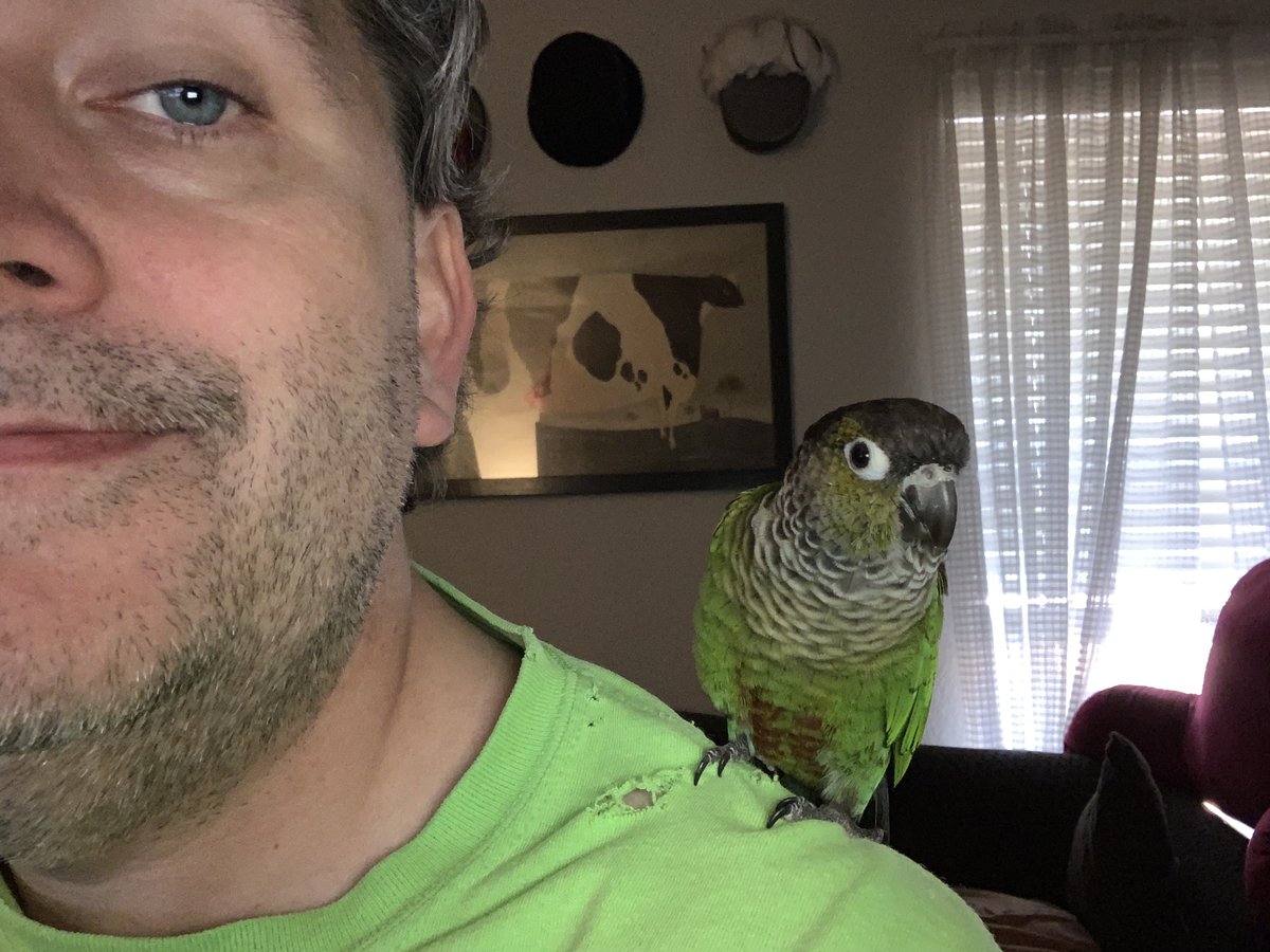 Vortmax's tweet photo. Coworker from another office decided to look over my code. She’s grumbling a lot. 

Office mate is a bit put-out. 

#TelecommuteLife #Pets https://t.co/19Vb1OnnSE