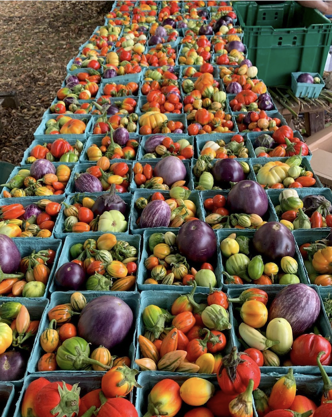 freshfind_'s tweet photo. Today is National Eat Your Vegetable Day! 🥦🥕🌽🥔🧄

If veggies aren’t your favourite food already, today is a great time to #experiment a little in the kitchen! It is the perfect time to create new #recipes using #delicious, #fresh, and #locally grown #fruits and #vegetables! https://t.co/xWiL8Ma3QX