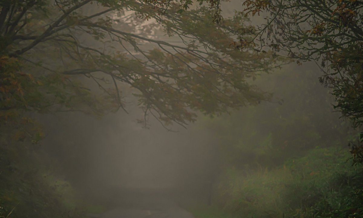 A unique thing to happen is when the morning fog comes from the lake near me. (Unlike the ocean fog)  what you don't see are the bicyclists headed somewhere fir the day
