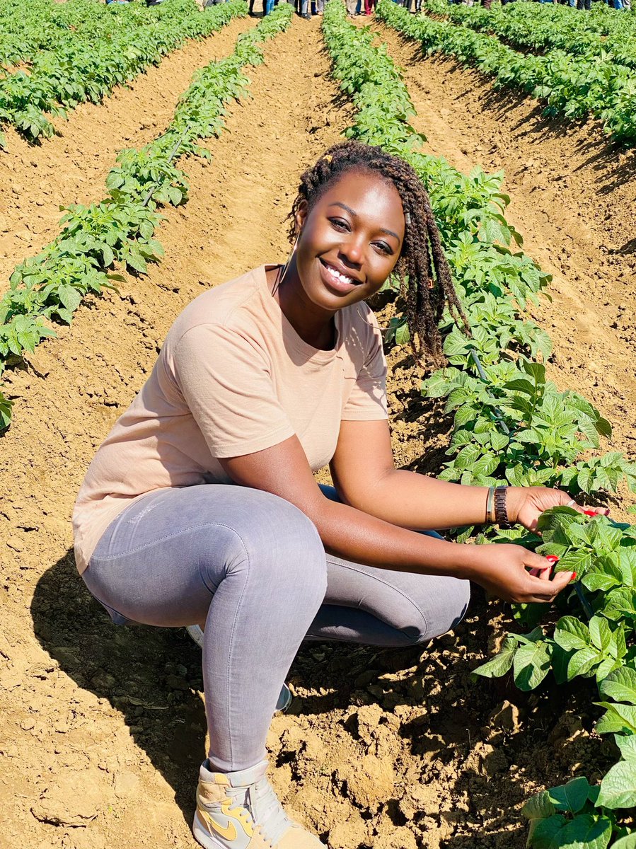 Highlights from Seed Potato Production Field day. courtesy of <a href="/KutsagaResearch/">Kutsaga Research</a> , it was a great opportunity to interact and learn through observation from a successful farmer in Nyabira