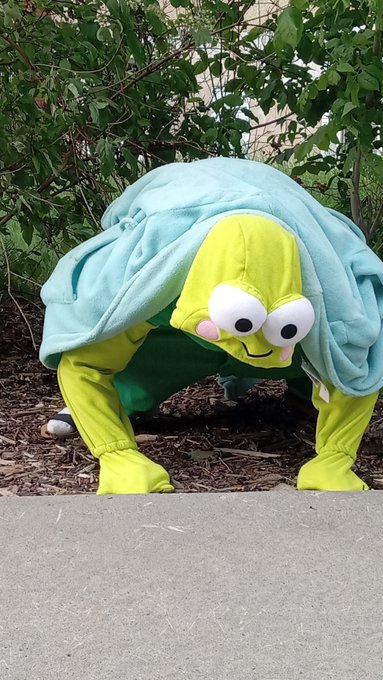 fRoG 🐸  https://t.co/Gk3CRwoOcO https://t.co/ZcSGkGN1Wt<a href="/tag/live"class="tags"><span>#live</span></a><a href="/tag/livestream"class="tags"><span>#livestream</span></a><a href="/tag/camgirl"class="tags"><span>#camgirl</span></a><a href="/tag/adultwork"class="tags"><span>#adultwork</span></a><a href="/tag/slut"class="tags"><span>#slut</span></a><a href="/tag/onlyfans"class="tags"><span>#onlyfans</span></a>