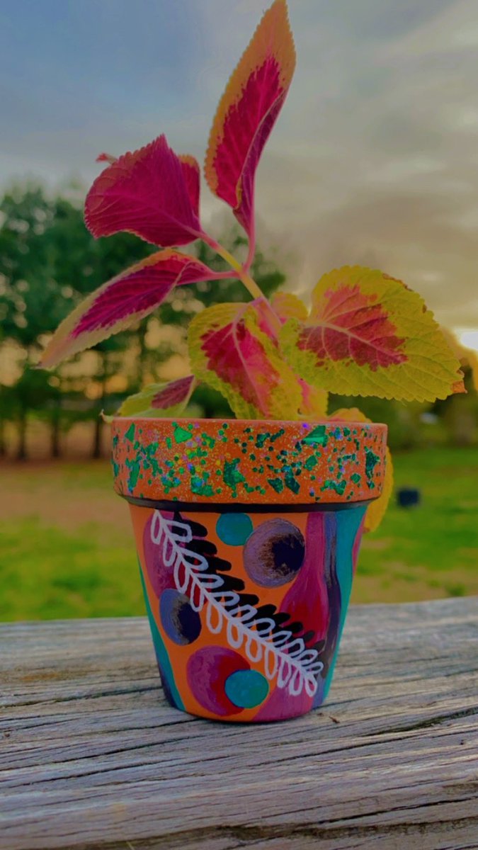 AlikaAnderson's tweet photo. 🔆🪴Painted pot🌿🔆
#art https://t.co/OOmieBfAL8