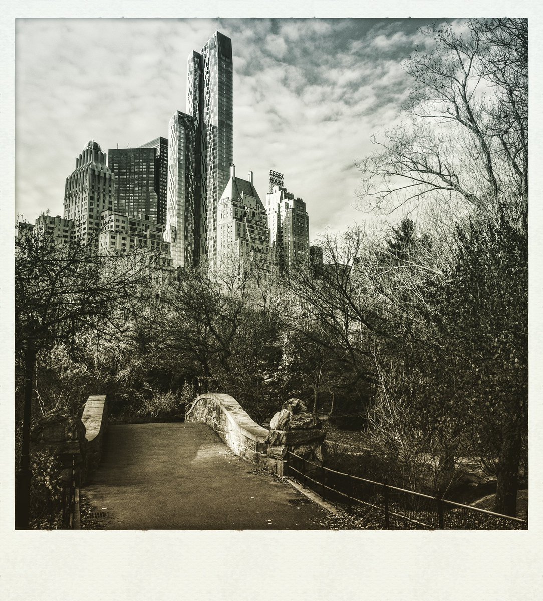 ajpics's tweet photo. Manhattan skyline from Central Park https://t.co/Ap1kqWWzE1
