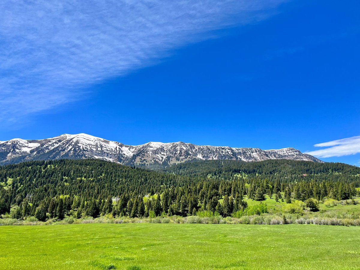 JasonKechely's tweet photo. The flanks of the #BridgerMtns really showing off this week... #MTSpring #GreenIsGold https://t.co/WjBbX4PYKj