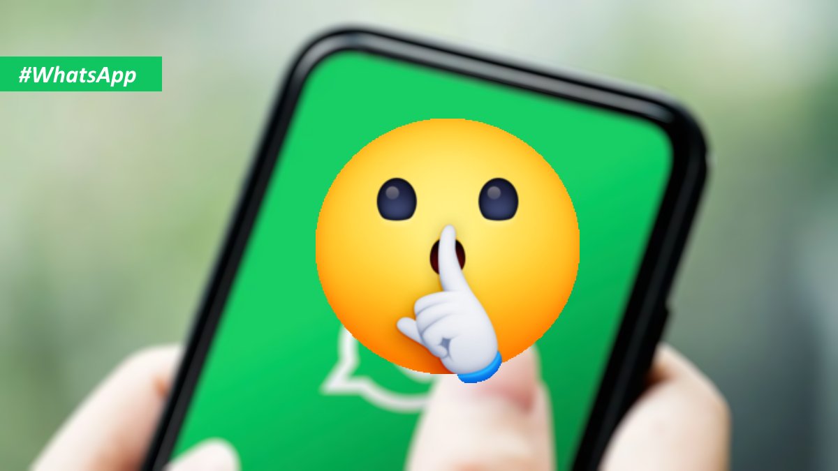 culturainform's tweet photo. ℹ️ Muy interesante la última actualización de WhatsApp 😃

💠https://t.co/X5sqvBEfI1 https://t.co/dd2jCPHzkH