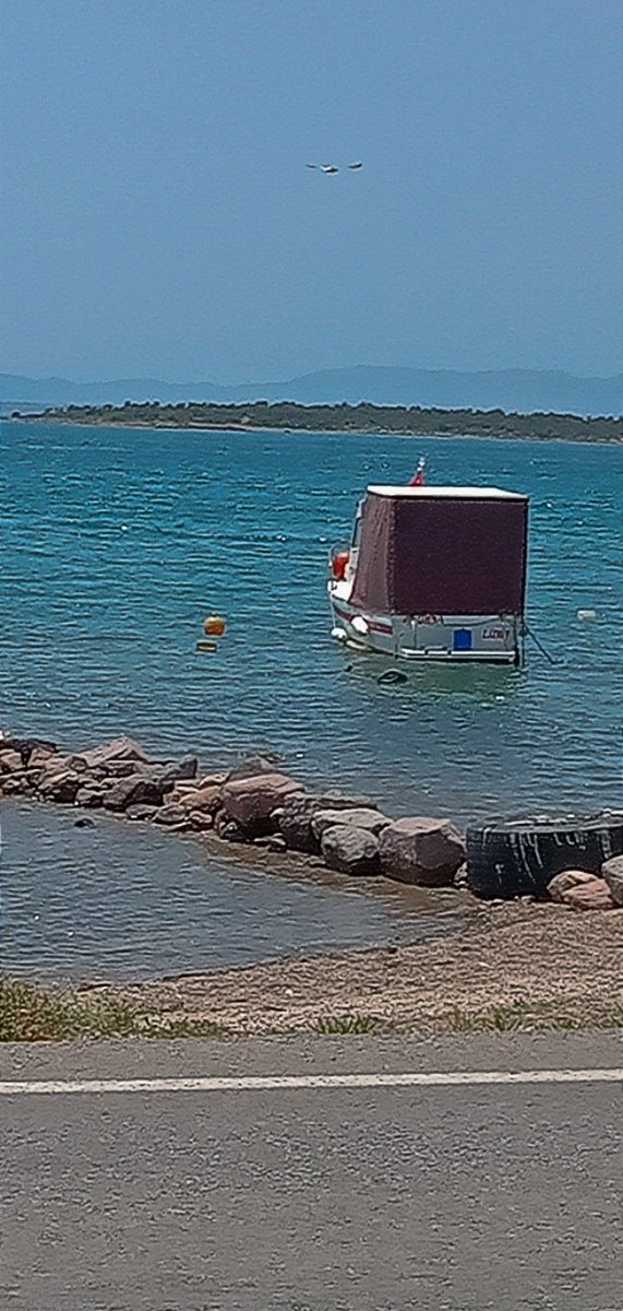 milkastappen's tweet photo. İzmir- Çeşme (ıldır)
#WLETurkey #WLE2022 https://t.co/4R623f8TU1