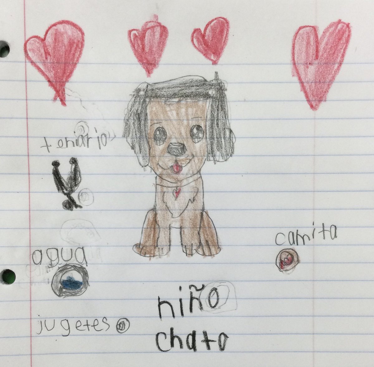 nnieto22's tweet photo. Esta semana aprendimos sobre las necesidades de los animales que viven en @sahumane This week we learned what shelter pets need 🐕❤️🐈😊 @NISDAllenES #FunSummerLearning https://t.co/MPl5BzkfWF