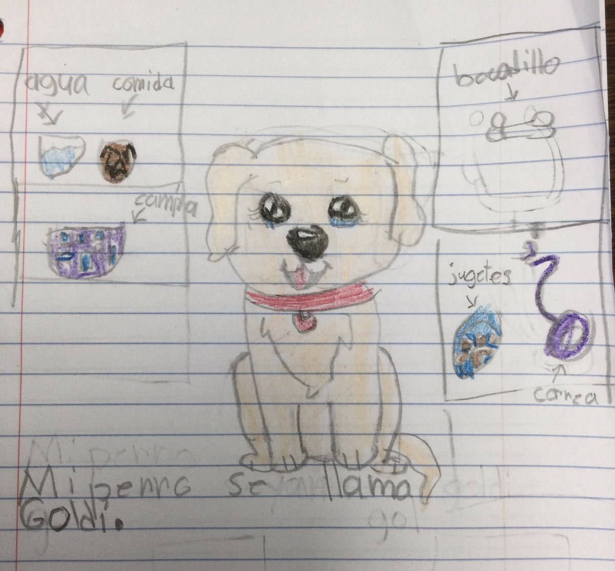 nnieto22's tweet photo. Esta semana aprendimos sobre las necesidades de los animales que viven en @sahumane This week we learned what shelter pets need 🐕❤️🐈😊 @NISDAllenES #FunSummerLearning https://t.co/MPl5BzkfWF