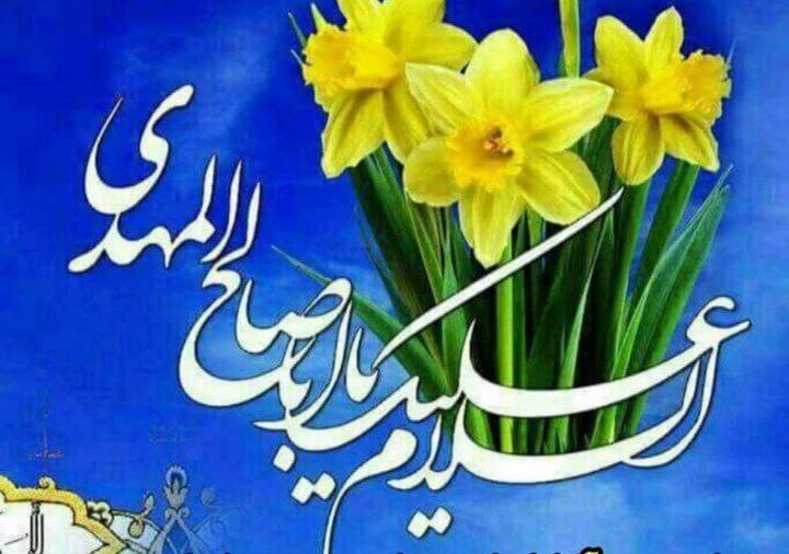 ﷽سیدمصطفی سربازومطیع کاملورهروولایت باافتخاربسیجی tweet media