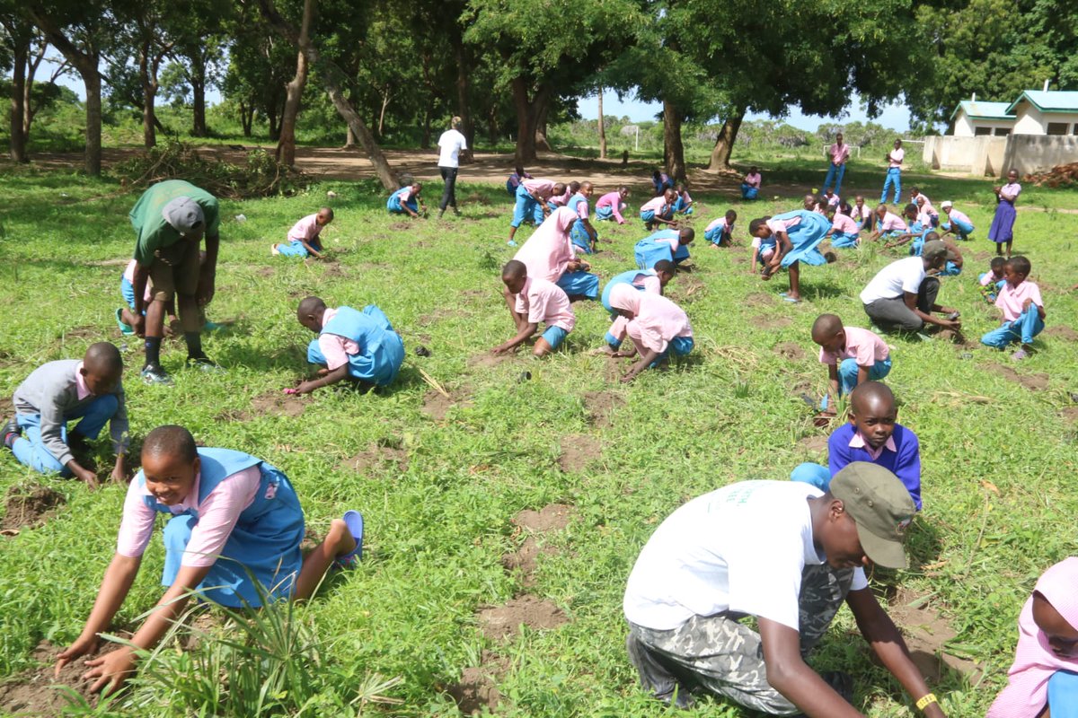 Karasinga3's tweet photo. Knowledge is power.. Educating our children the importance of Tree and Tree planting in general..
@NationAfrica @Ezzie_kamau
@EarthAccounting @Nature_NeedsUs
#DKFNAKURU
#Trees4Hero
#dkflamu
#savetheearth
#tree4betterlife https://t.co/X3SDexP9aS
