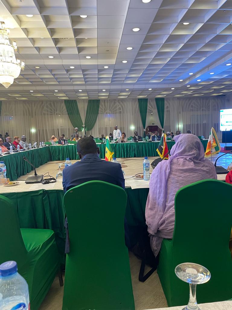 asergmv's tweet image. Le conseil des ministres de la Grande muraille verte est ouvert, ce 16 juin 2022 à Abuja. Le ministre  de L'Environnement et du Développement durable, monsieur Abdou Karim sall a été représenté à rencontre par monsieur Oumar Abdoulaye BA, DG L'ASERGMV
#GreatGreenWall #pse_vert