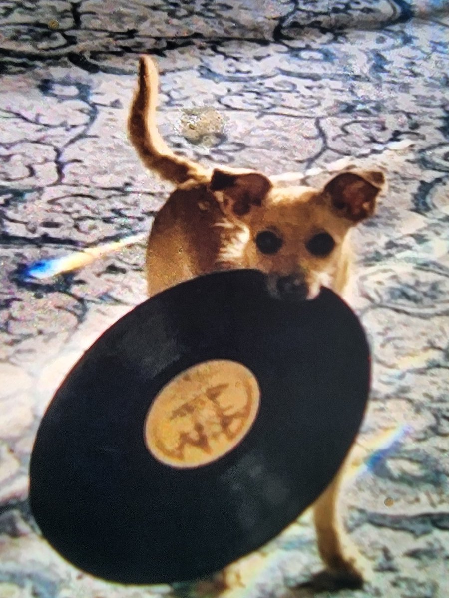 Its RECORD Store Day  @ Angelo's CD's &amp; Vinyl Tomorrow Saturday June 18th New Music &amp; Sick Deals! #angeloscdsbroadway #angeloscdsaurora #denvervinylrecords #denverlivemusic #denverbands #denverconcerts #denvermetal #denverhiphop #denverdisco #denvermusic #angelocoiro