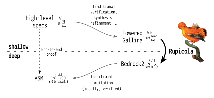 cpitclaudel's tweet photo. Today at 3:30PM PT at PLDI: Rupicola, my thesis project!  Come by (or join us virtually!) to learn about building domain-specific compilers that generate efficient C code from functional programs, with proofs🐓☑️. Paper (OA): https://t.co/IWWKRgg9SY, Code: https://t.co/NKTvCiOz5R https://t.co/cA4g0VvCHO