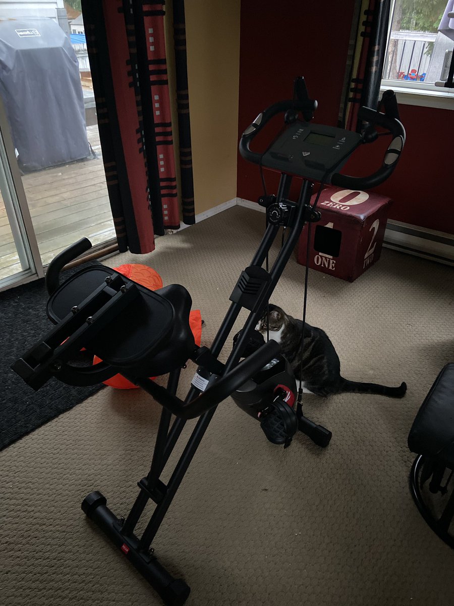 Strange_Trip's tweet photo. The new exercycle. Put it together last night and did a 30 minute ride https://t.co/8X1LOxDOp3
