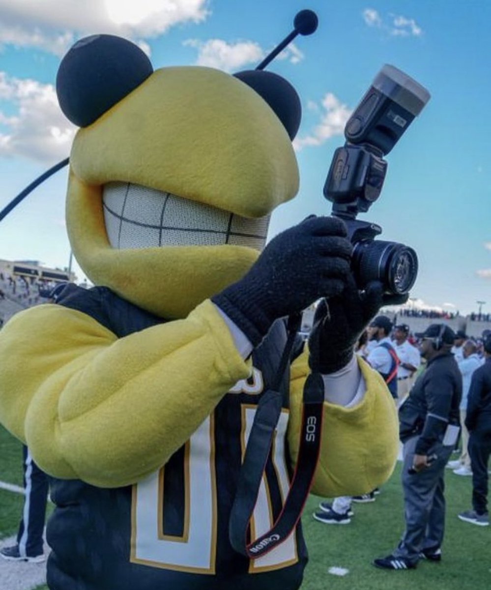 BamaStateCheer's tweet photo. Happy National Mascot day to our Stinger! 🐝 #NationalMascotDay https://t.co/DOCoRHsNci