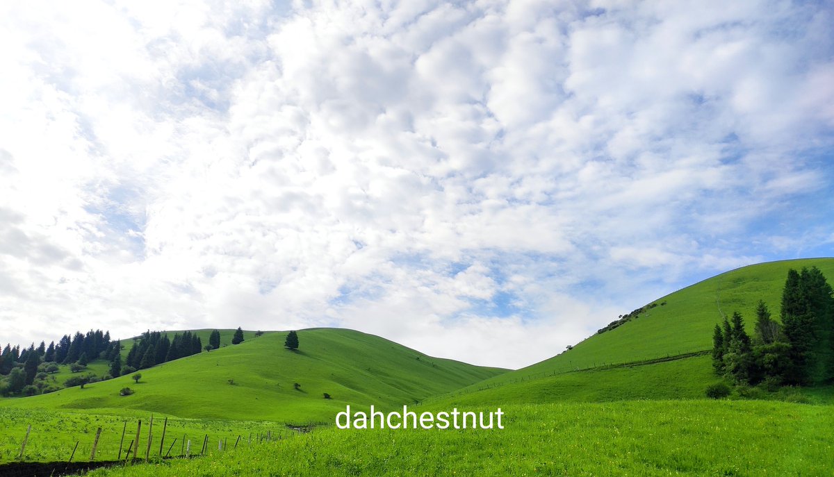 晚上刚出山，现在在城里，薄荷app说我能多吃7000大卡的食物。#一个人的旅行 https://t.co/b0ZryMAYHM