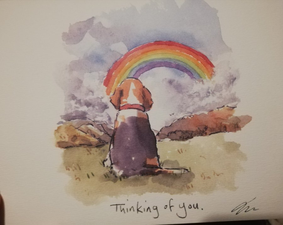 SpaidPenni's tweet photo. @reddogsusie I'm so sorry, Jack.  You deserved so much better than this.  Our dogs, cats, and hamster will keep an eye on you up there.  
#rememberjack https://t.co/FP0jAB2w98