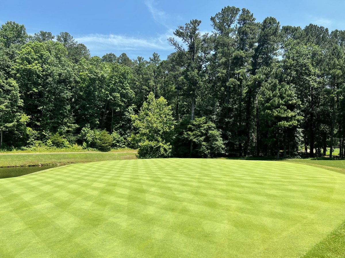 #007xl greens after 1 straight week of 95+ degree heat and afternoon storms. Just warming up