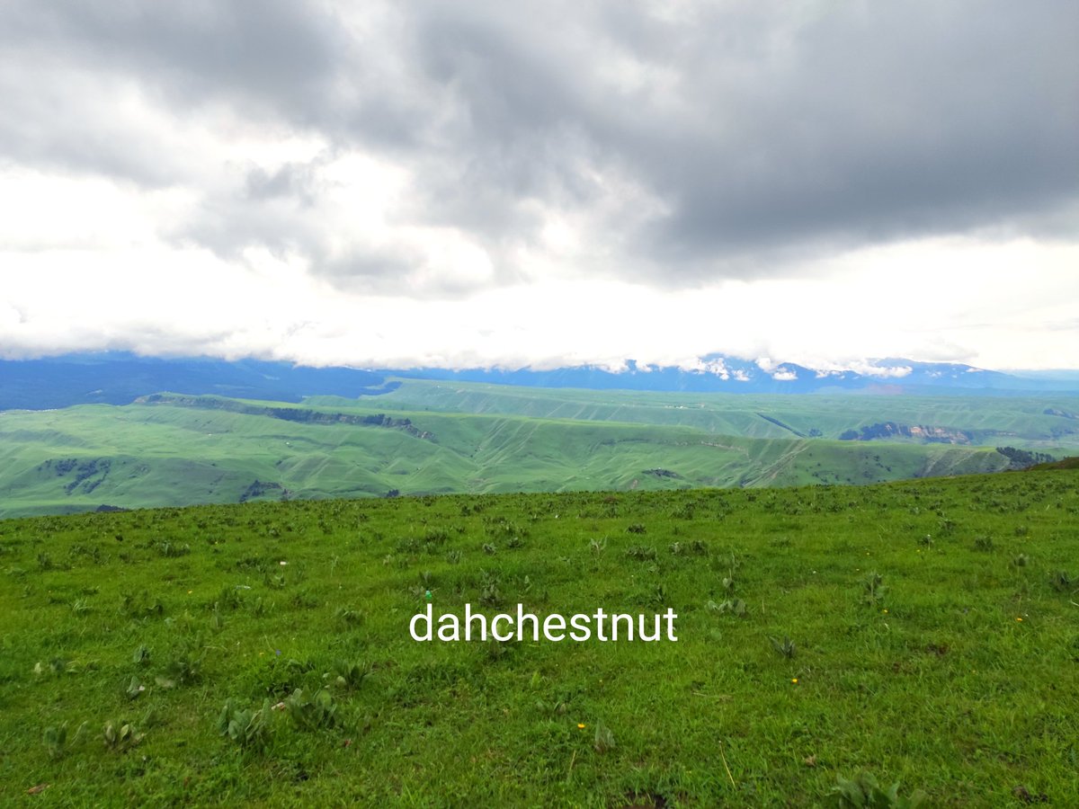 晚上刚出山，现在在城里，薄荷app说我能多吃7000大卡的食物。#一个人的旅行 https://t.co/b0ZryMAYHM