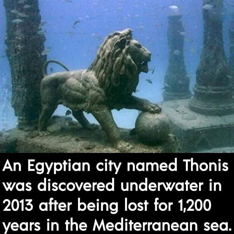 The Real X-Files (@real_files) on Twitter photo 