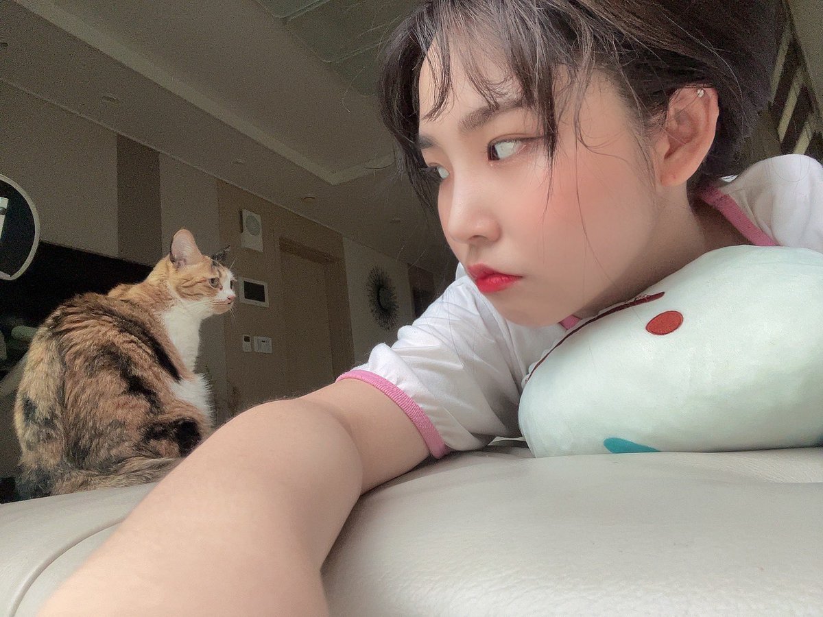 PF_Official_X's tweet image. [#핑크판타지_하린]

이거 올렸었나?👀
꽁냥이와의 아이컨택

#하린 #HARIN #ハリン 
#핑크판타지 #PINKFANTASY 
#ピンクファンタジー