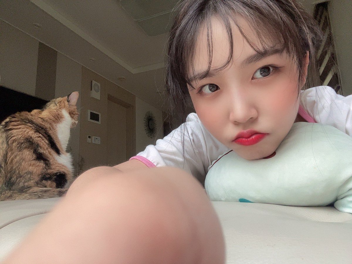 PF_Official_X's tweet image. [#핑크판타지_하린]

이거 올렸었나?👀
꽁냥이와의 아이컨택

#하린 #HARIN #ハリン 
#핑크판타지 #PINKFANTASY 
#ピンクファンタジー