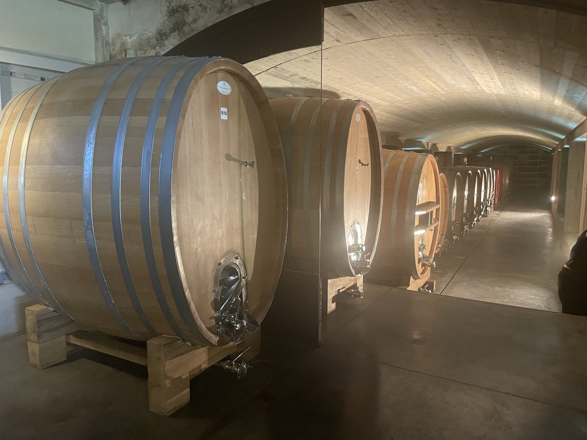 DavidMarra's tweet photo. Cheers to @AnthonyRobineau for pointing me in the right direction to visit Arianna #Occhipinti’s winery while I was in Sicily last week. Brilliant to see the vines, and more interestingly, the limestone which is extremely important for the character of her wines. https://t.co/TfUzSq2yDK