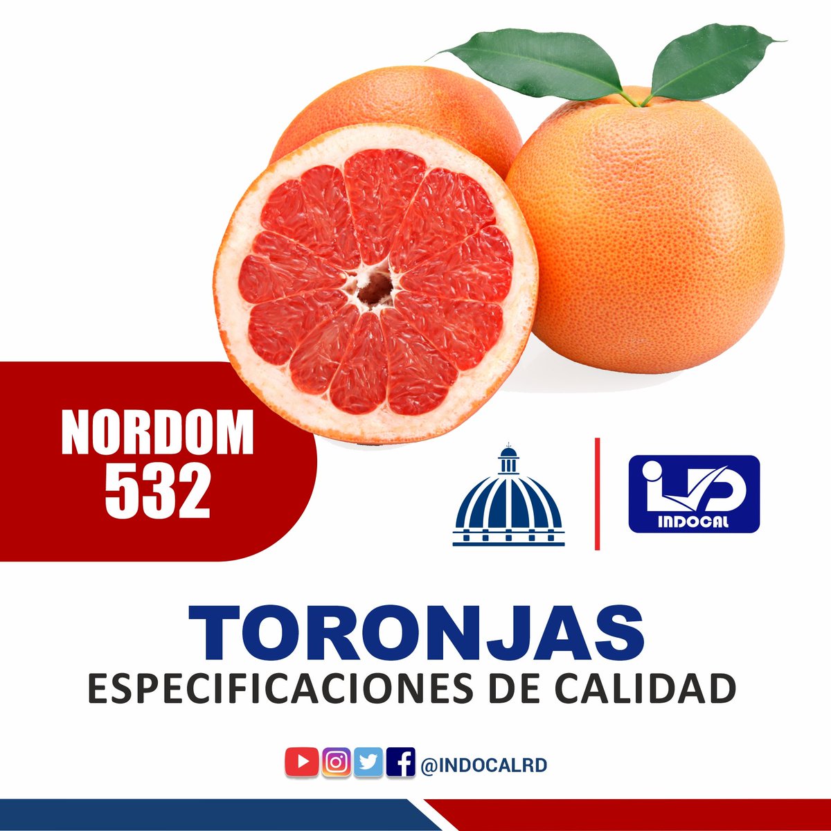 INDOCALRD's tweet photo. 🍊Las #toronjas aportan nutrientes para mantener dientes y huesos fuertes, posee potasio, un mineral necesario para la transmisión y generación del impulso nervioso y para la actividad muscular.

La #Nordom 532, establece sus requisitos de #calidad... https://t.co/6juDqXIbGZ