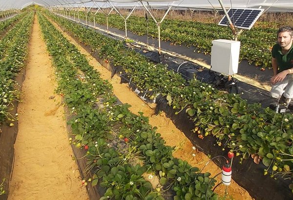 agrodiariohuelva.es tweet media