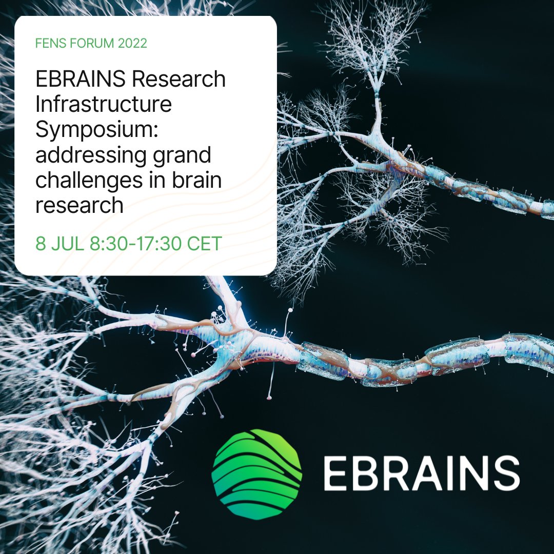 We're organising a Satellite Event at the FENS Forum 2022 on Friday 8 July in Paris and would be delighted to see you there!

Our event aims to  bring together experimental, clinical and computational #neuroscientists. 

Register here for free: bit.ly/3xB1Gpn