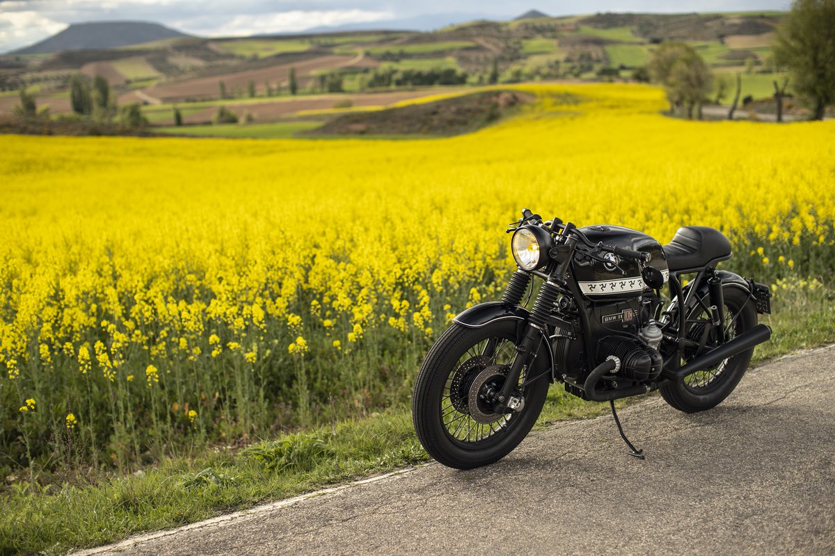 Cafe Racer Dreams 🏍 tweet media