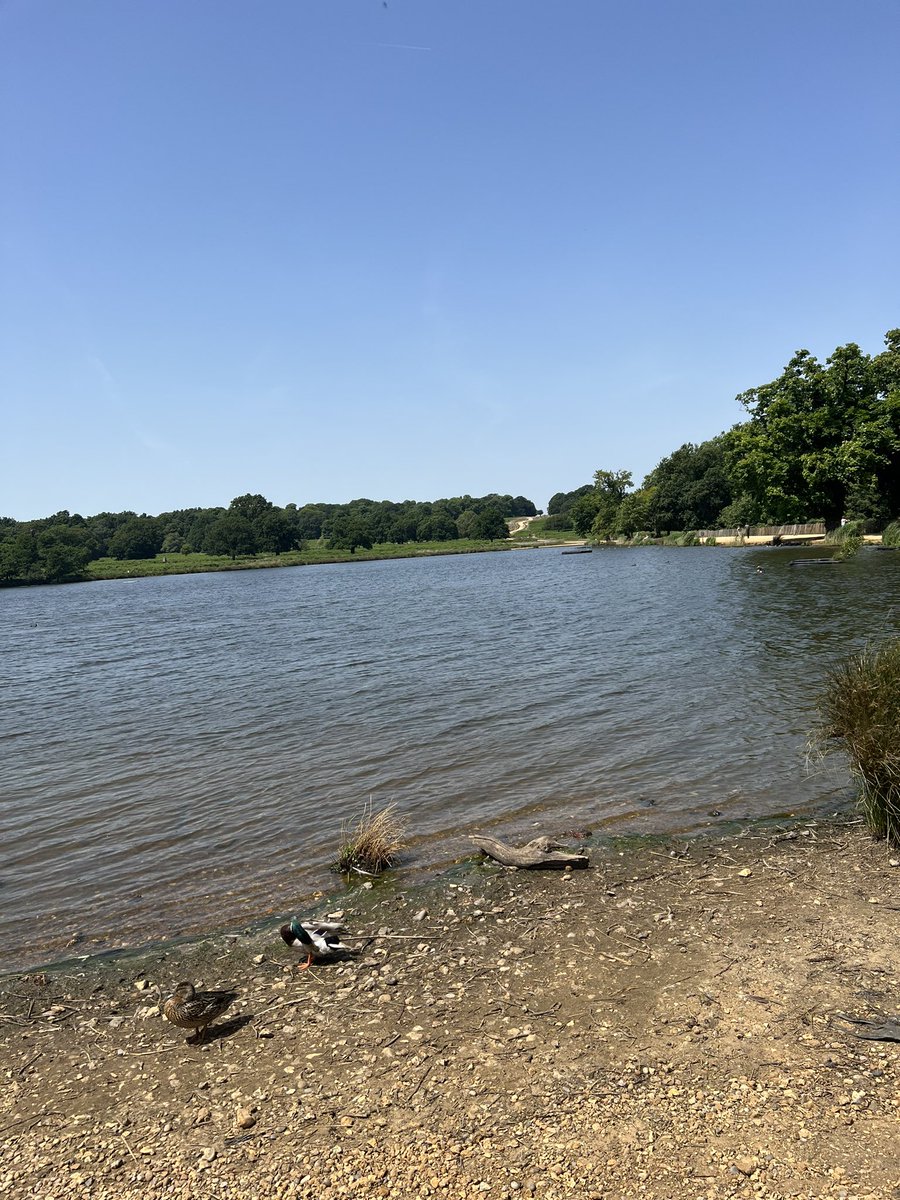 MPSRoyal_Parks's tweet photo. A lake or river can look very inviting during hot weather – but it can also be a killer! Please do not swim in the lakes or rivers unless it’s authorised (such as the Serpentine Lido) https://t.co/jtBT7AwR9F