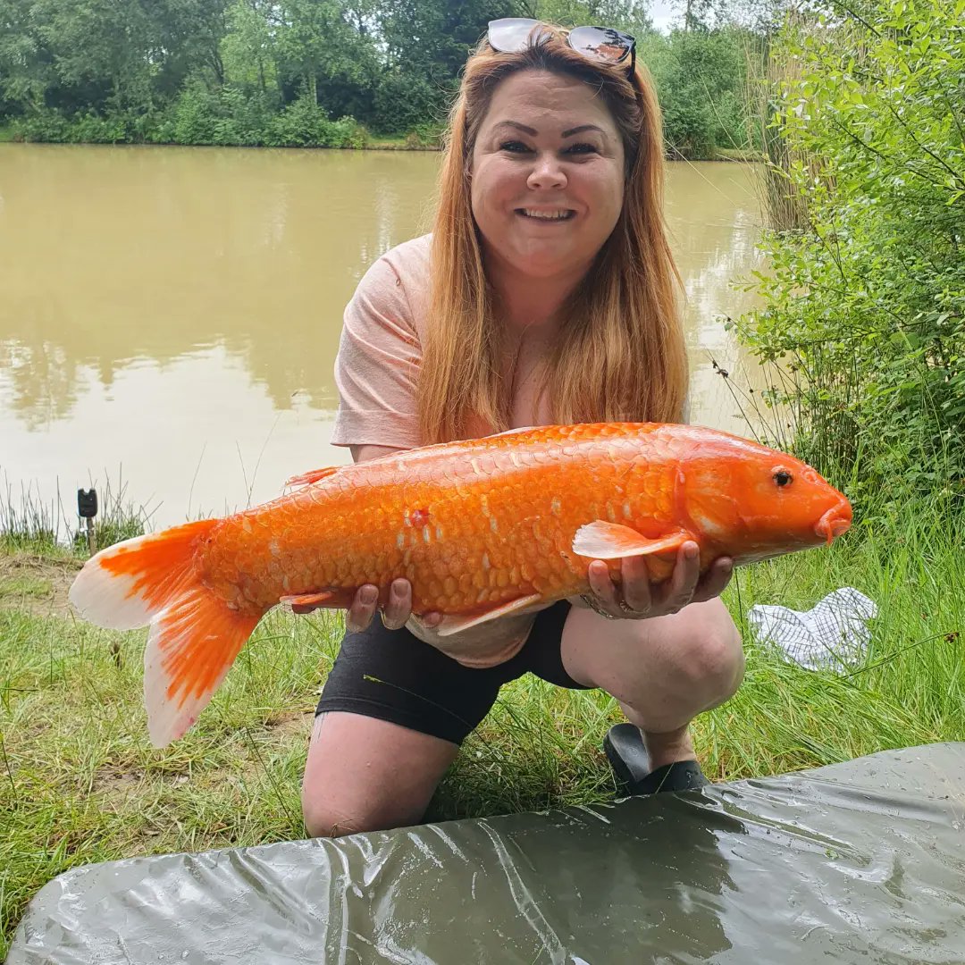 Anglers Paradise Devon tweet media