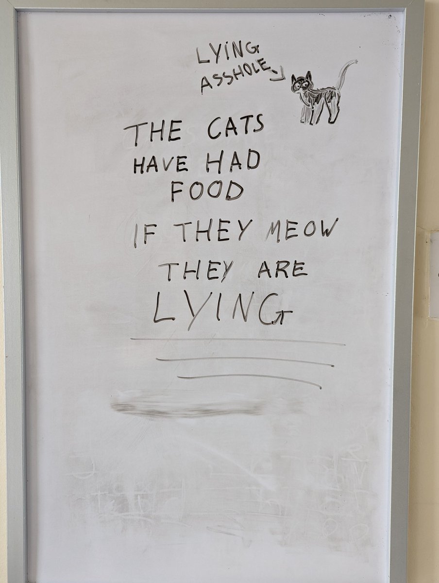 Came down to the kitchen to this message on the whiteboard from my youngest 😂🐈 #CatsOfTwitter