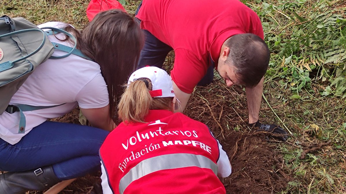 FEAFESGalicia's tweet photo. Hoxe estamos a traballar polo noso entorno. Nesta #JornadaSaludable, os nosos usuarios/as están a plantar, coas persoas voluntarias de @fmapfre e os usuarios/as de #AsociaciónItínera; carballos e castiñeiros, ademais de facer limpeza de lixo na zona. 🌳😊🌳
#saúdemental
#fmapfre https://t.co/JtMbihw0Fm