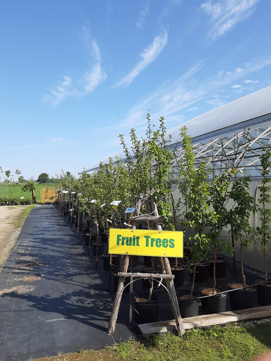 A fruit tree is the perfect present for Dad with Father's Day
#arthurgreenhouses