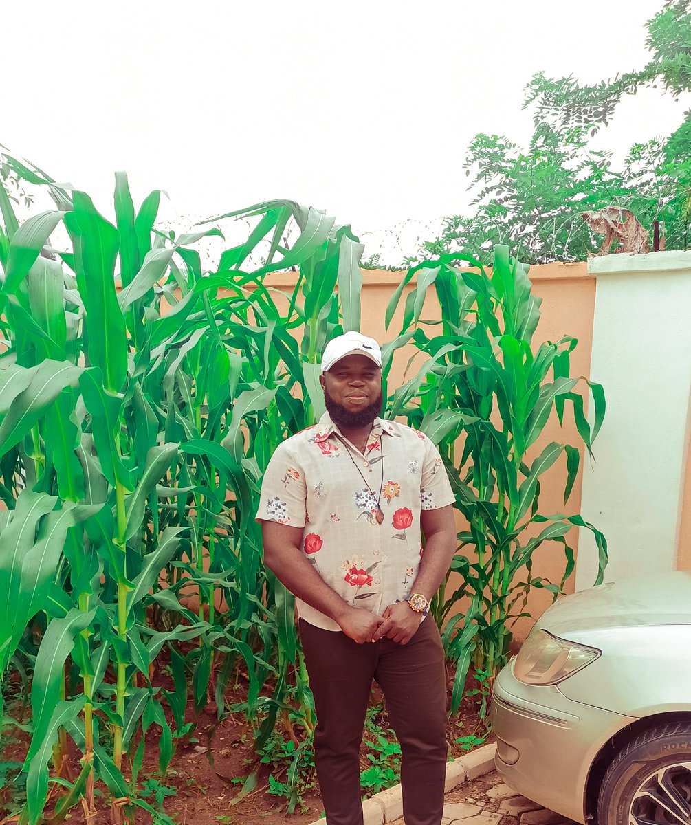 pencraftmedia's tweet photo. Today I visited my corn 🌽 and agbado farm located in Lugbe, Abuja. 
This is in preparation to feed 50 million Nigerian youths.
It's the corn planting season and I'm not taking chances at all.
Dear @officialABAT, I'm ready.
#OBIdients
#PeterObiForPresident2023
#PeterIsBetter https://t.co/Bisn2U0Ind