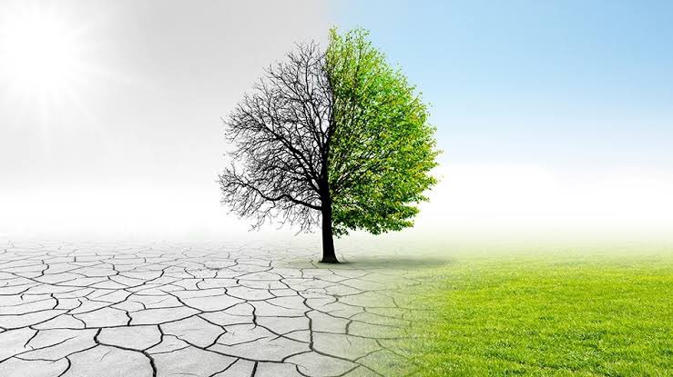 beeees_ma's tweet photo. Humankind has suddenly entered into new relationship with planet. Unless we quickly and profoundly change the course of our civilization, we face an immediate danger of destroying the worldwide ecological system that sustains life.
#GoGreen 
@SYNCHPakistan @ClimateChangePK https://t.co/ro7gaRbmBs