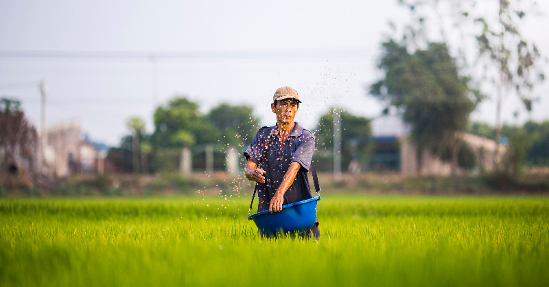 UNFCCC's tweet photo. Food, and how we produce it, is central to tackling the climate crisis. ๐
๐พ
Our latest #ClimateActionBlog explains how climate extremes are driving crop losses, highlighting the need for more sustainable forms of producing food within planetary boundaries.