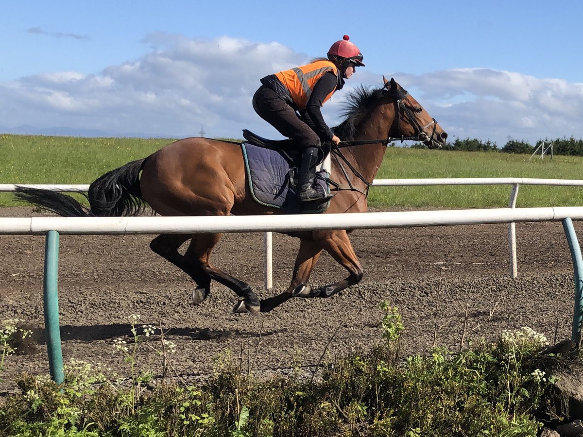 Grand Canal owned by @SummerstormBlo1 won @ayrracecourse last time, he’s one of our 12 runners, @PMulrennan rides! It’s going to be a busy evening for the team!