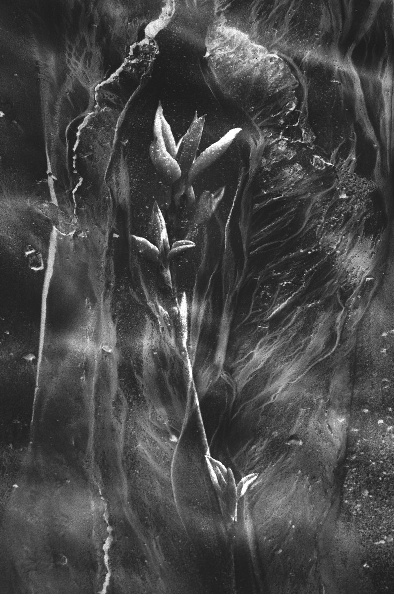 Micca on Twitter: "Collected 😍"