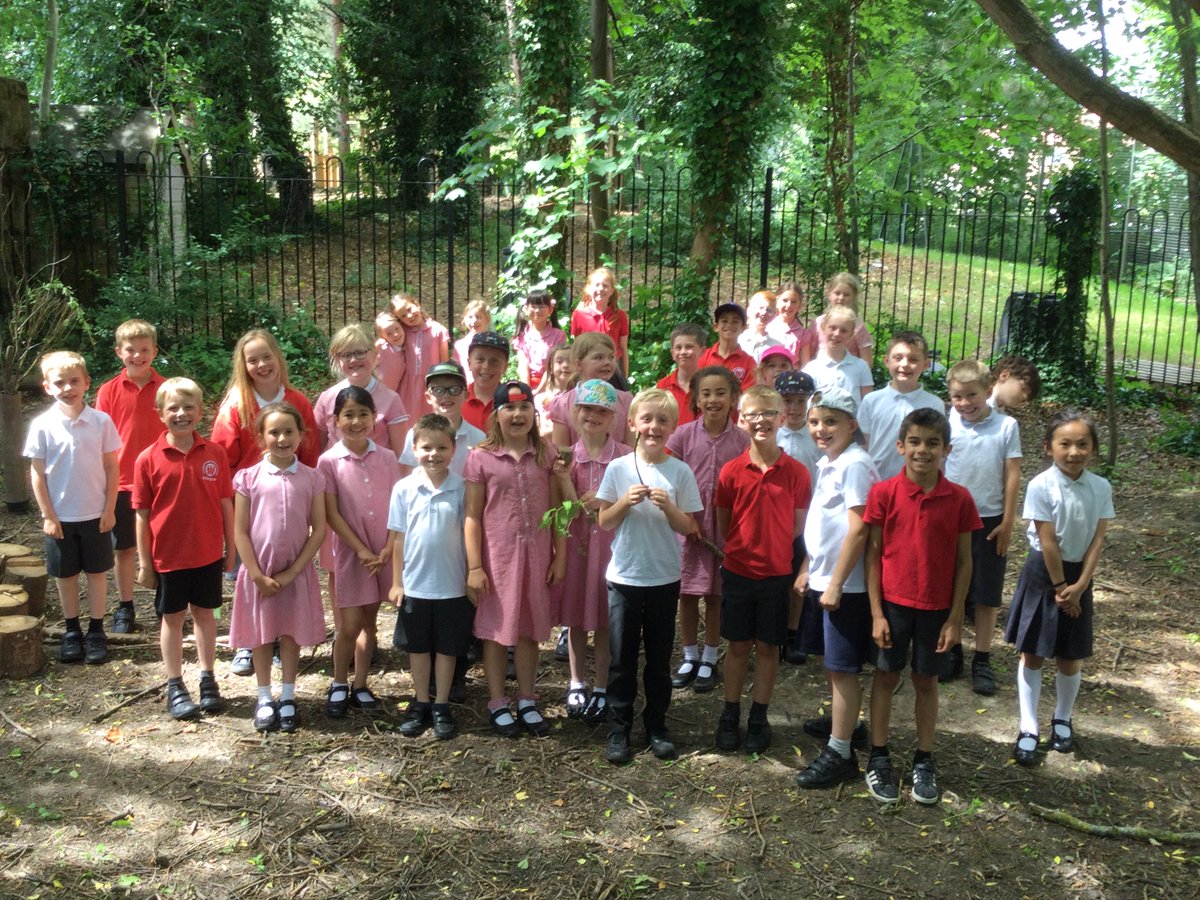 SaltergateSchs's tweet photo. Inspired by our recent trip to Countryside Live, Year 3 children had a wonderful time creating art using natural resources in our woodland area! #Saltergatespirit #Saltergate500 #Countrysidelive #outdoorlearning https://t.co/TglyZ5387O