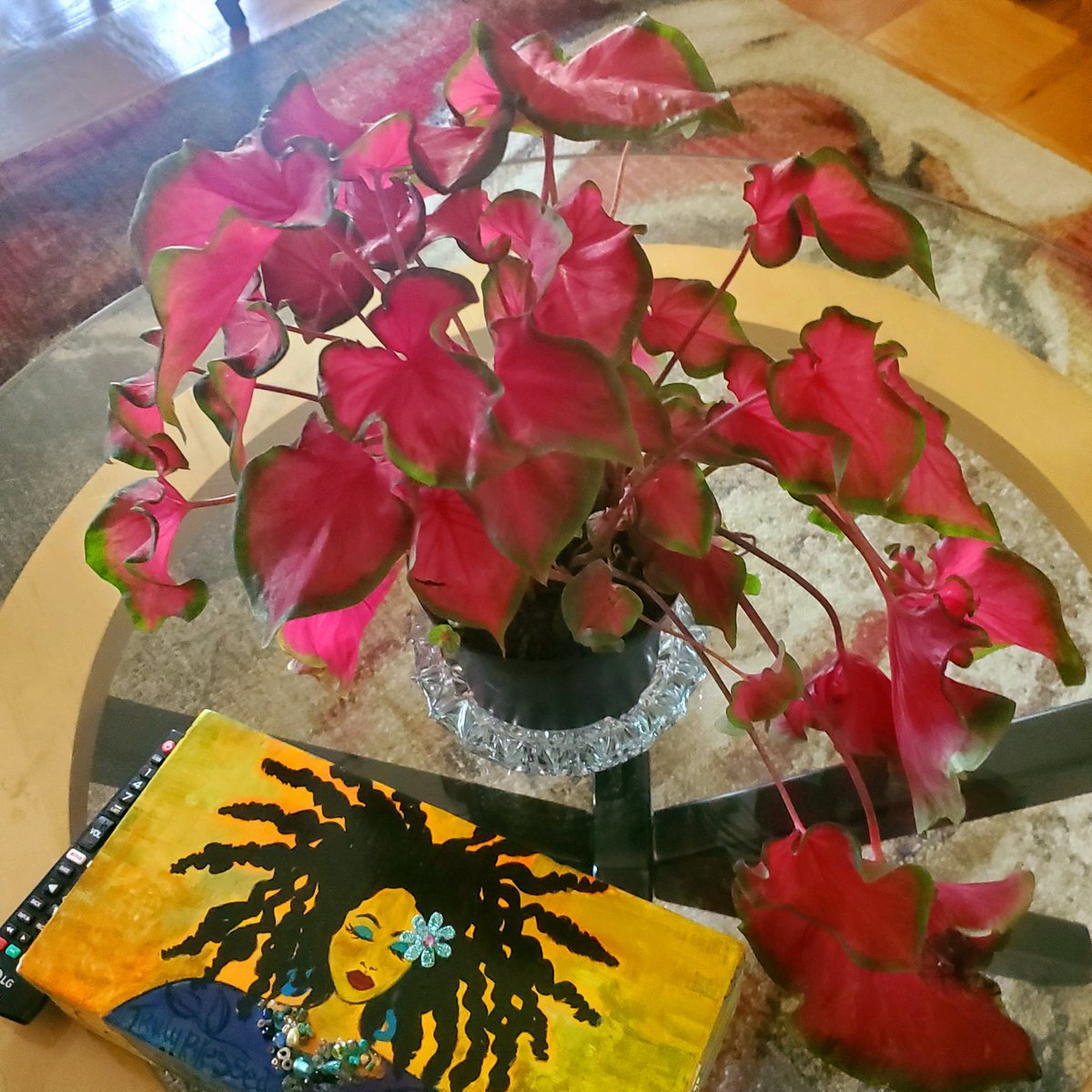 DeniseDavison's tweet photo. Happy Nappy Friday! #BLACKPLANTMAMAS #WOMANISH https://t.co/8igW7RBbfS