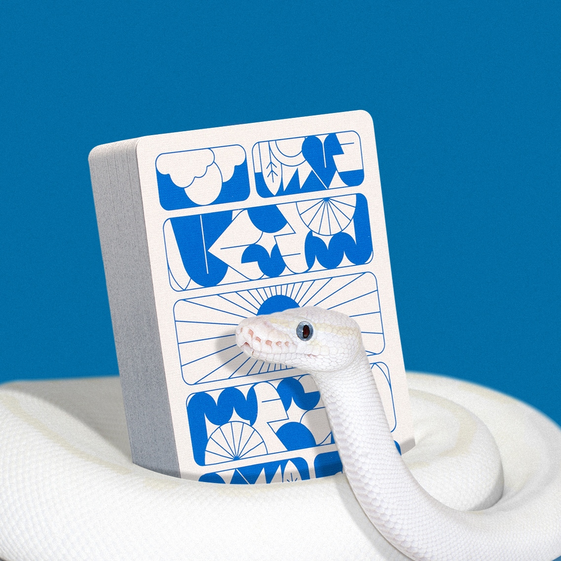 We don't suggest playing cards with snakes. For this one, we opted for a stock photo from Adobe, swapped out the background, and comped in the deck. So no animals were harmed in the production of this photograph. We would def pick up some live bugs for the right shoot though.
