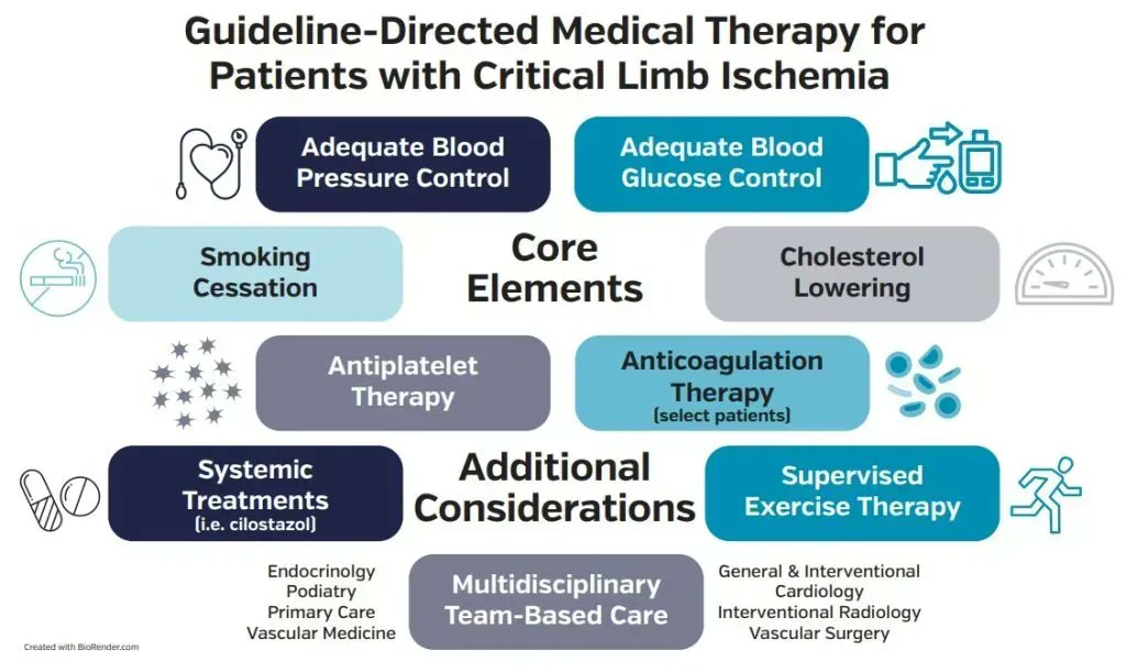 OutpatientJ's tweet photo. Are you using guideline-directed medical therapy to reduce the likelihood of adverse outcomes in patients with  #PAD and #CLI? Find the latest evidence for this approach in #OESJ https://t.co/6KOi2sxi0v https://t.co/FXNyIsDBIm