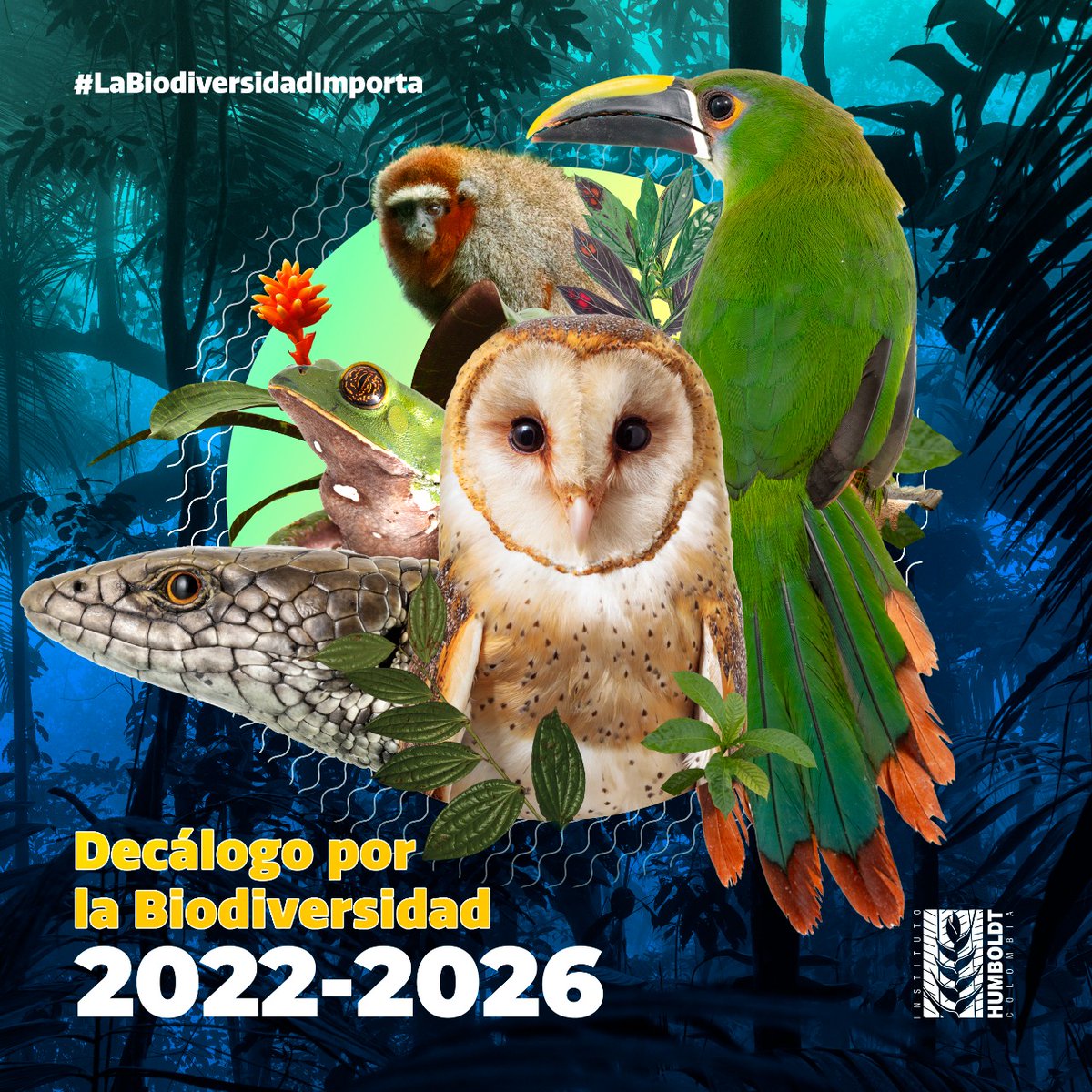 inst_humboldt's tweet photo. Candidatos, los ecosistemas estratégicos son claves para la adaptación a los efectos del cambio climático y eventos extremos. La Colombia anfibia es nuestra mejor oportunidad. ¿Cómo podemos avanzar?, en seis trinos te lo contamos #LaBiodiversidadImporta 🧵(1/7) https://t.co/oYjRRBsXWo